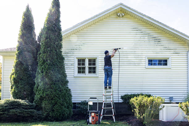Best Garage Pressure Washing  in North Aurora, IL